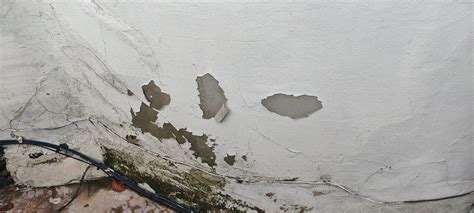 What Do Wet Walls Mean at Beverly Henson blog