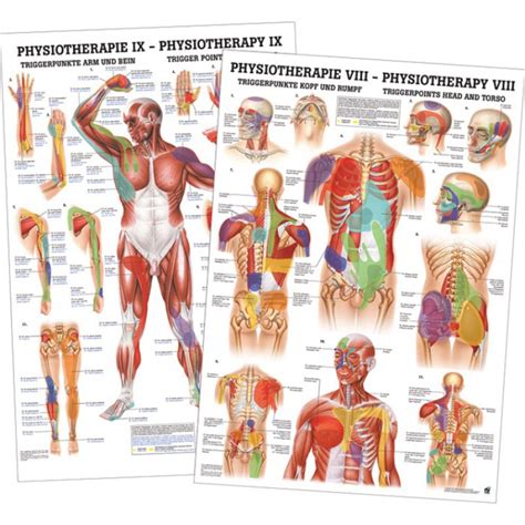 Triggerpoint Poster Set