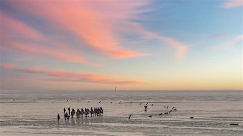 Wadden Sea North Coast Free Photo On Pixabay Pixabay