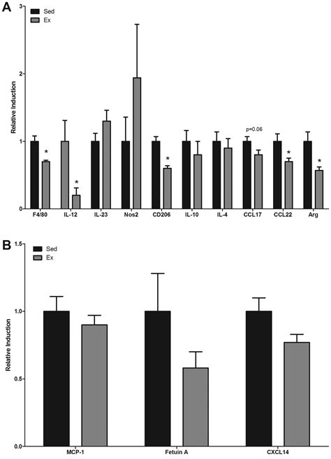 Exercise Effects On Polyp Burden And Immune Markers In The ApcMin