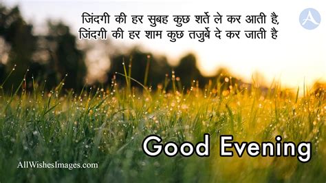 Good Evening Shayari In Hindi With Image Good Evening Images For Whatsapp