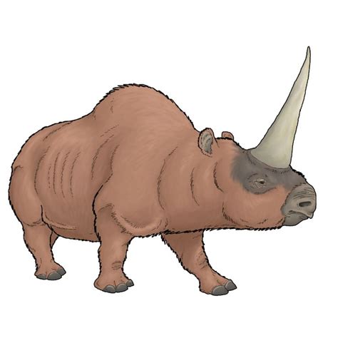 Elasmotherium Sibiricum By Wsnyder On Deviantart Prehistoric Animals