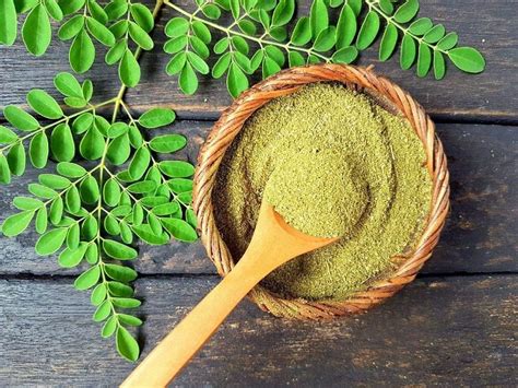 Moringa em 15 benefícios um superalimento que emagrece fortalece a