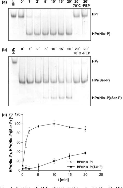 Figure From Dual Phosphorylation Of Mycoplasma Pneumoniae Hpr By