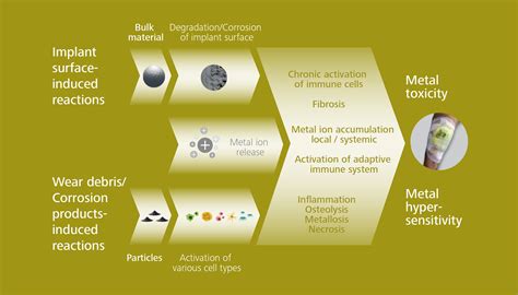 FDA: Immunological response of metal containing implants under scrutiny