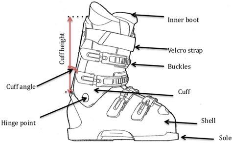 anatomy   ski boot exploring  components