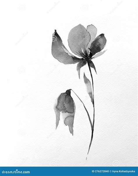 Decorative Watercolor Flowers Floral Illustration Leaf And Buds