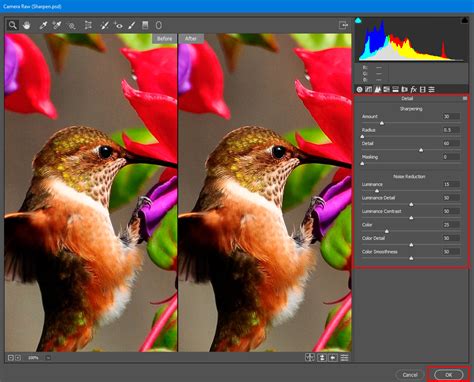 Image Sharpening In Photoshop A Comprehensive Guide Psd Vault