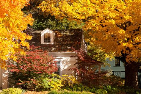 New England in the fall: the good, bad and ugly sides – is it an ...