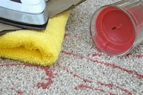 How To Remove Common Carpet Stains Marino Cleaning Services