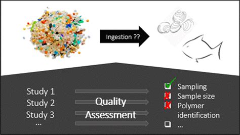 Quality Criteria For The Analysis Of Microplastic In Biota Samples A Critical Review