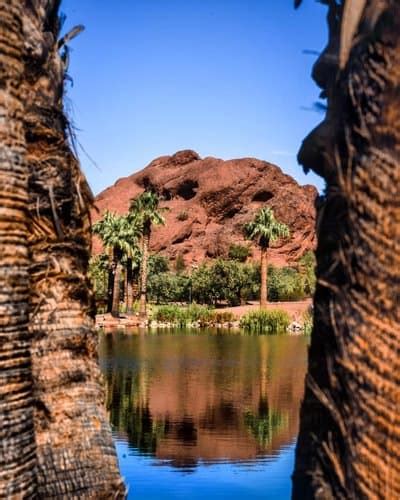 Discover The Best Free Attractions In Phoenix Arizona