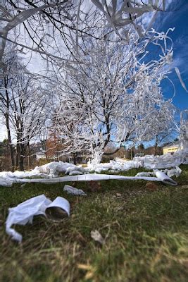 Cool Pics: Toilet Paper Pranks