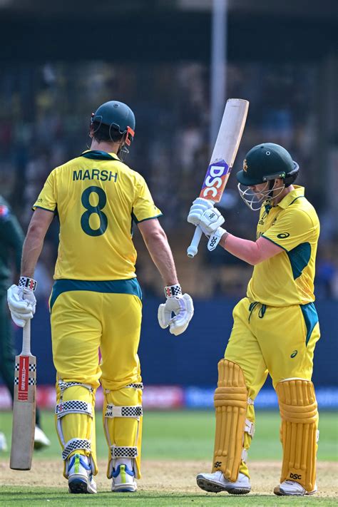 Australia vs Pakistan LIVE: ICC Cricket World Cup score and updates ...