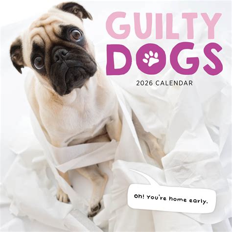 2026 Guilty Dogs - Square Wall Calendar