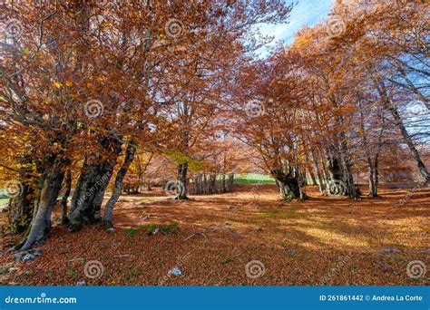 Forca D Acero Abruzzo National Park Italy Stock Photo Image Of