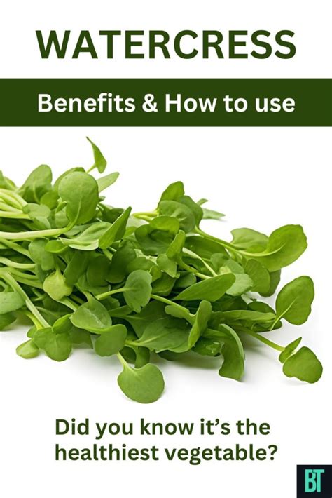 Green and Mighty Watercress: Benefits of the Healthiest Vegetable