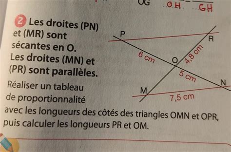 Les Droites Pn Les Et Mr Sont Secantes En O Les Droites Mn Et Pr