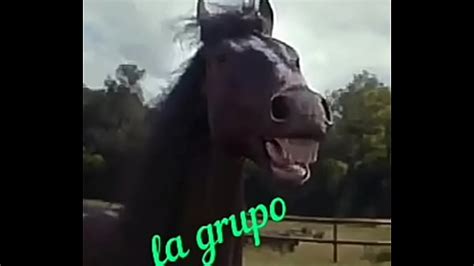 Julissa Videos XVIDEOS