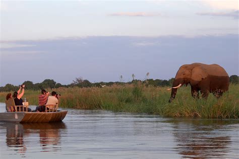 The Best Of Lower Zambezi Safari Absolute Zambia Safaris