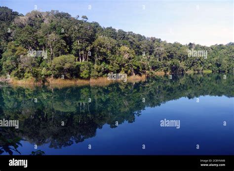 Serene Lake Eacham Crater Lakes National Park Atherton Tableland