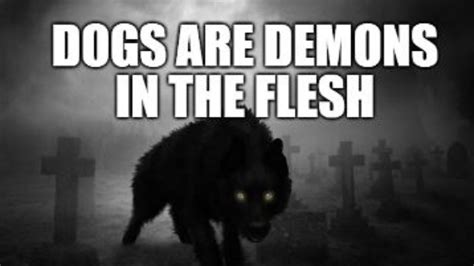 Dogs Are Demons Part 2 Youtube