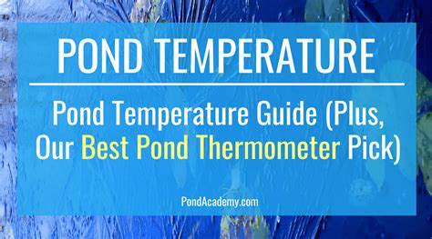 Pond Temperature Guide Plus Our Best Pond Thermometer Pick