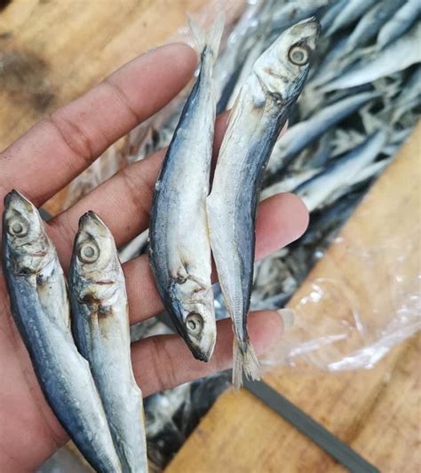 Vacuum Sealed Galunggong Marot Goodbye My Head Manodlong Dried Fish Per