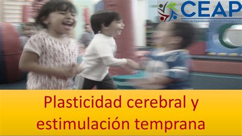 Plasticidad Cerebral Y Estimulaci N Temprana Youtube