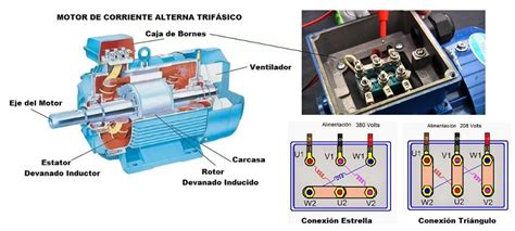 Motor Trifasico Aprende Facil