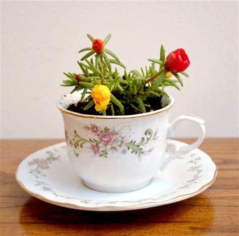 10 Cool DIY Tea Cup Ideas