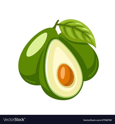 Green Avocado Icon Isolated On White Background Vector Image