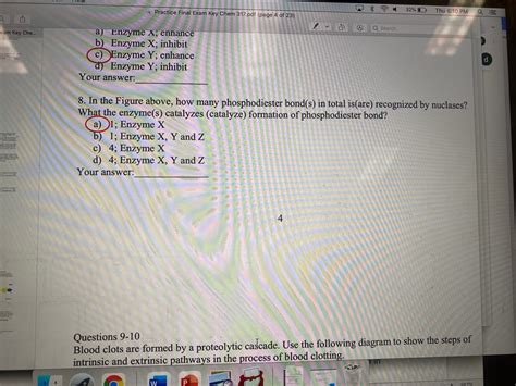 Answered Questions 7 8 Cyclic Adenosine Bartleby