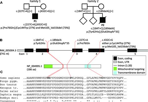 Mutations Identified In Ndufb In Two Families A Compound