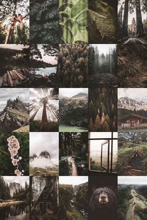 pcs nature wall collage kit digital  green aesthetic