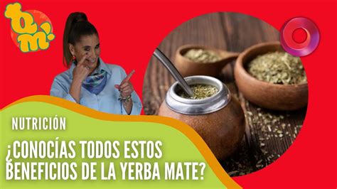 ¿conocías Todos Estos Beneficios De La Yerba Mate Quémañana Youtube