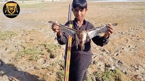 Duck Hunting In Pakistan Best Duck Hunting Video Murghabi Ka Shikar