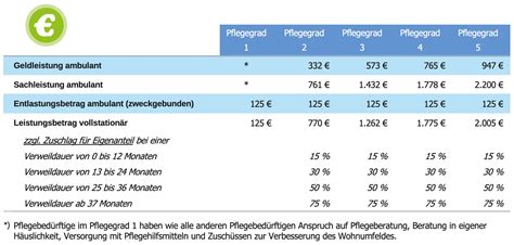 Soziale Pflegeversicherung 2024 Pflegebedürftigkeit Pflegegrade und