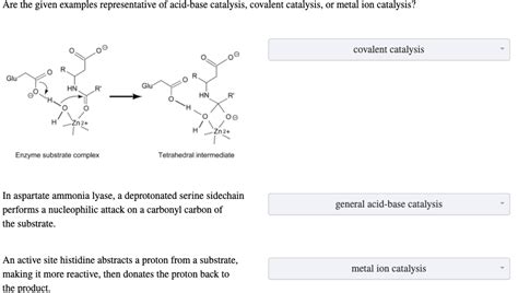 Solved Are the given examples representative of acid-base | Chegg.com