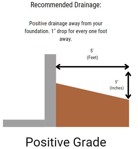 Newsletter Exclusive Guide To Yard Grading Ask Cathy