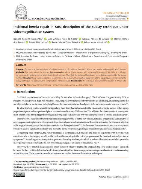 incisional hernia repair  rats description   sublay
