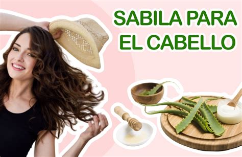 Aprende a utilizar la Sábila para el cabello conoce un Tratamiento