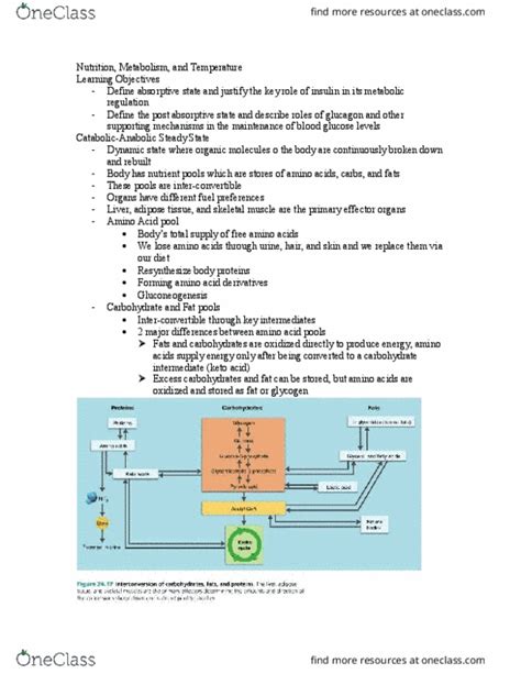 ANP 1107 Lecture Notes Winter 2016 Lecture 7 Lipoprotein Lipase