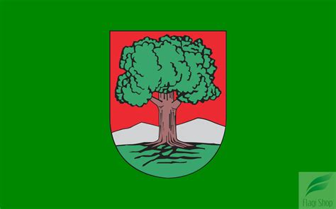 Flaga Miasta Wałbrzych Na Zamówienie 150x90 Hurtownia Flag