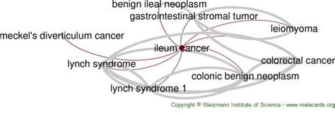 Ileum Cancer disease: Malacards - Research Articles, Drugs, Genes, Clinical Trials