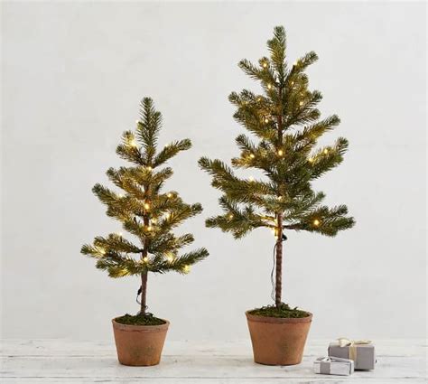 Lit Faux Potted Pine Trees Pottery Barn