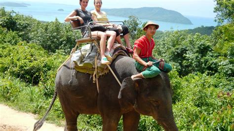 Elephant Trekking Phuket 2022 ️ Prices Review