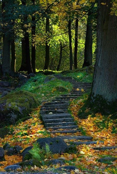 Astonishing Photos Of Paths In The Forest Top Dreamer