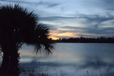 Pompano Beach Airboat Rides A Guide For First Timers Airboat Rides