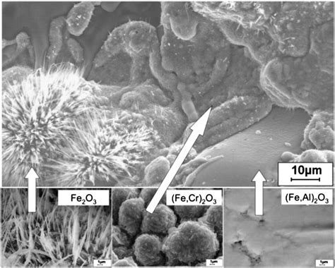 Different Morphology Of The Oxide Scales Formed On The Various Lamellae